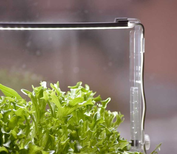 LED-kasvivalon pidike Harvy3:lle