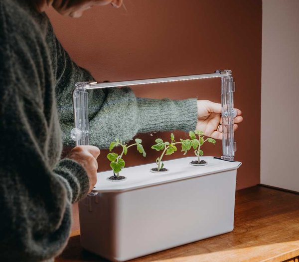 LED-kasvivalon pidike Harvy3:lle