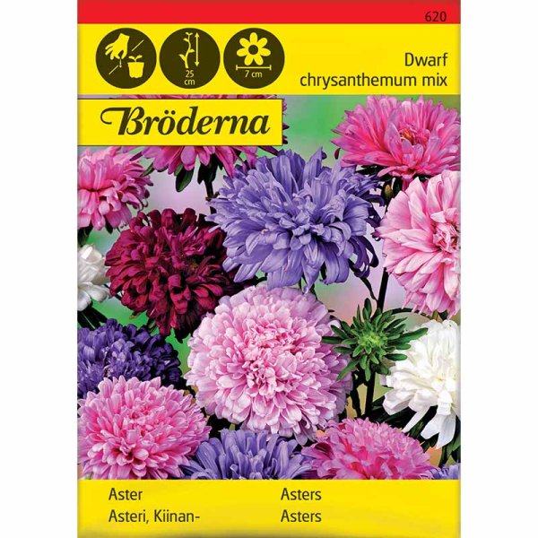 Kääpiöasterisekoitus