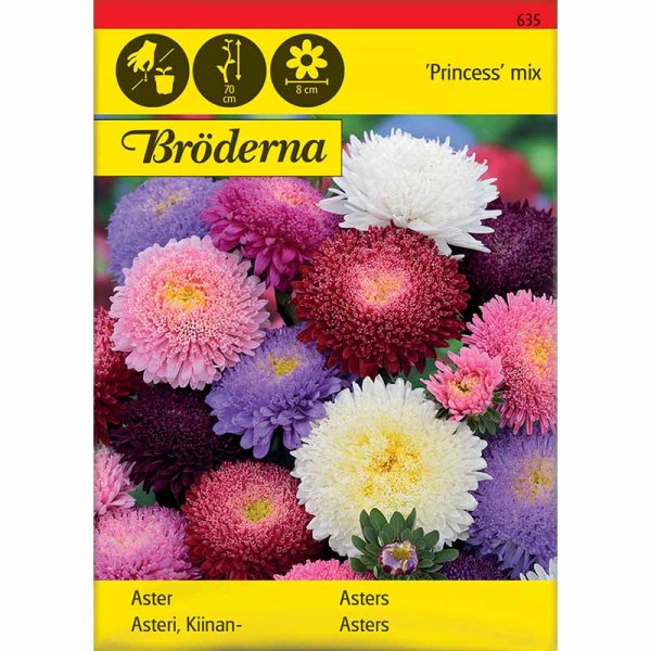 Asteri 'Princess' sekoitus