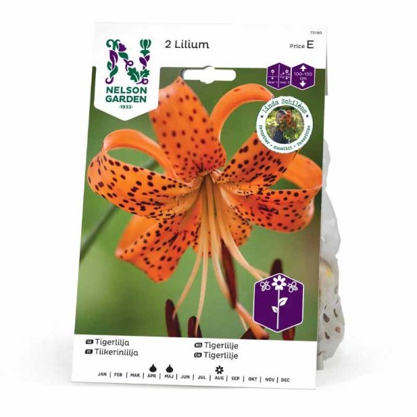 Tiikerililja
