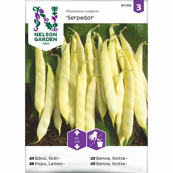 Litteäpapu 'Serpedor'