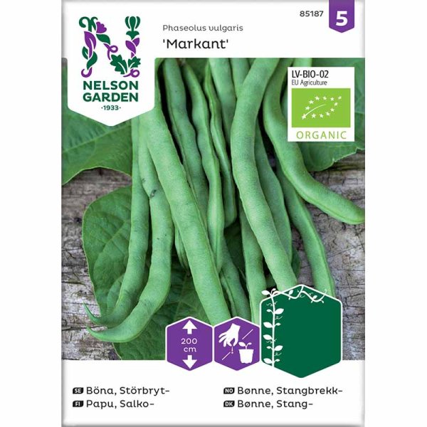 Pole Snap Bean 'Markant'