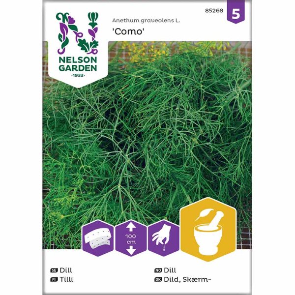 Tilli 'Como' Siemennauha