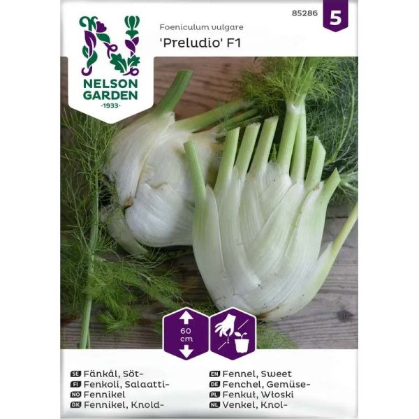 Fenkoli 'Preludio' F1