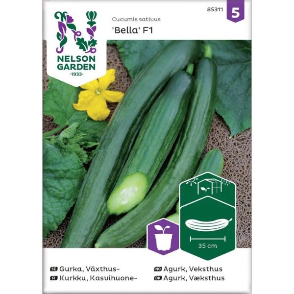 V äxthusgurka 'Bella' F1