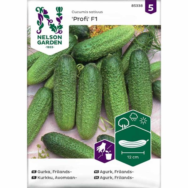 Avomaankurkku 'Profi' F1