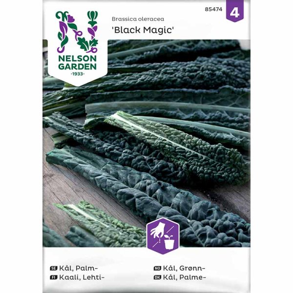 Mustakaali 'Black Magic'