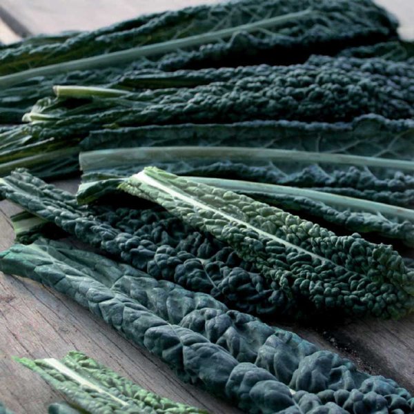 Mustakaali 'Black Magic'