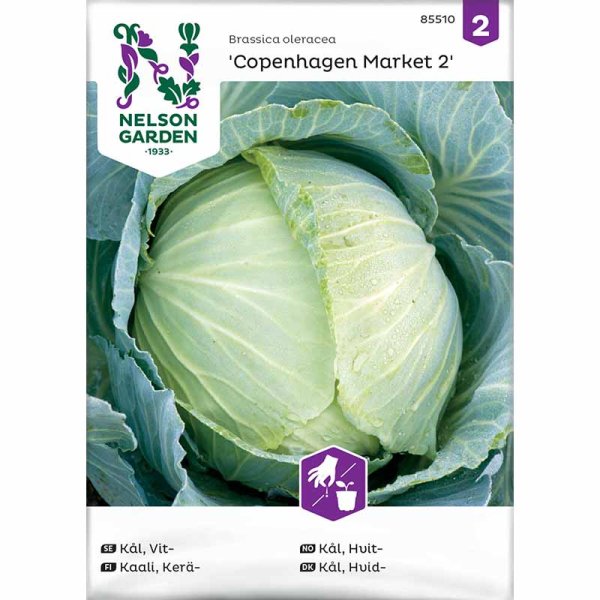 Valkokaali 'Copenhagen Market 2'