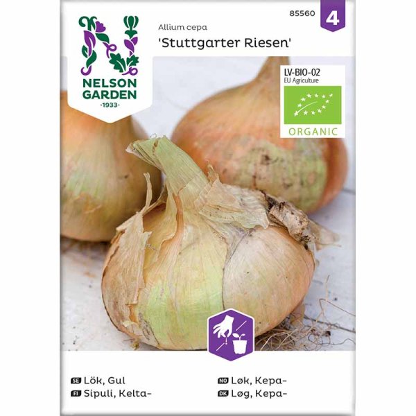 Yellow Onion 'Stuttgarter Riesen'