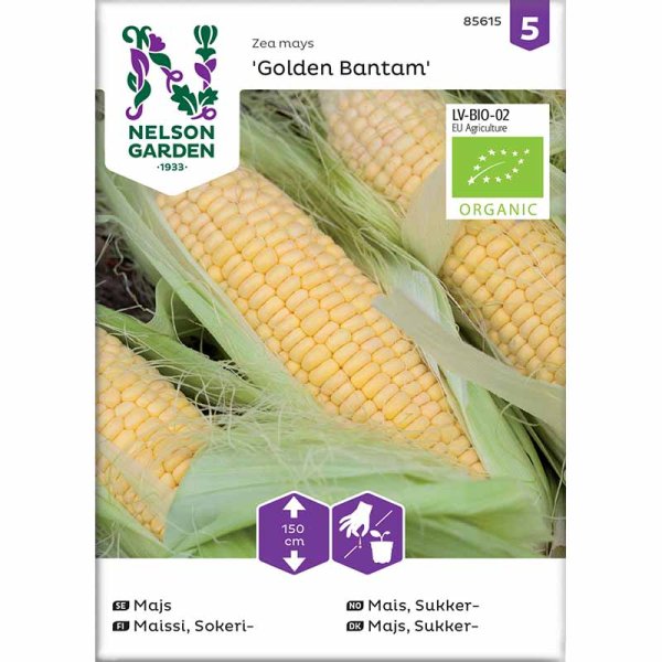 Corn 'Golden Bantam' Organic