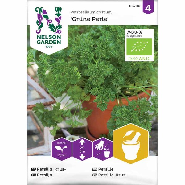 Lehtipersilja 'Grüne Perle'