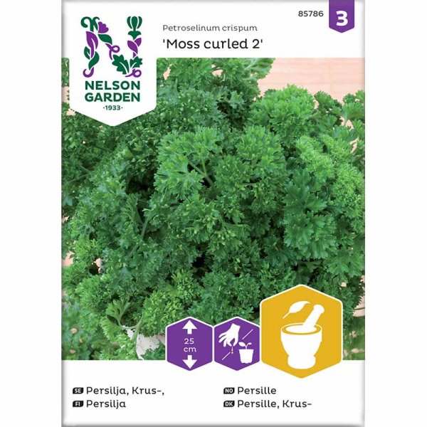 Persilja 'Moss Curled 2'