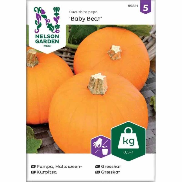 Minikurpitsa 'Baby Bear'