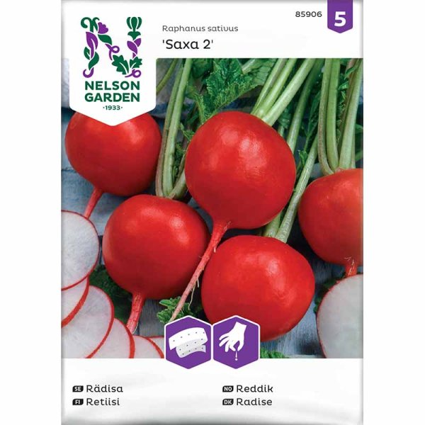 Retiisi 'Saxa 2' såband