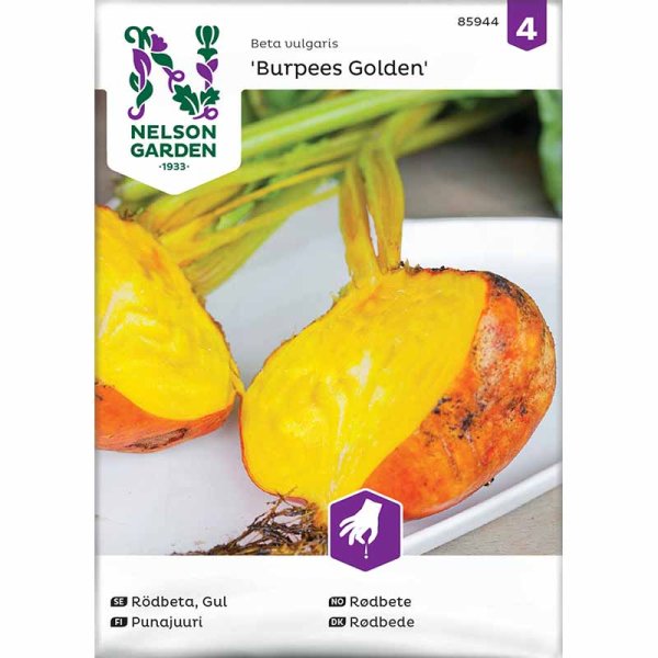 Punajuuri 'Burpees Golden'