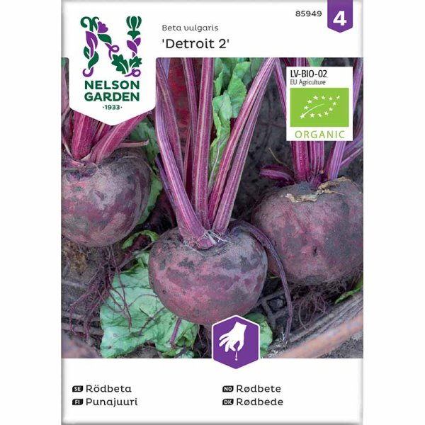 Punajuuri 'Detroit 2' Luomu