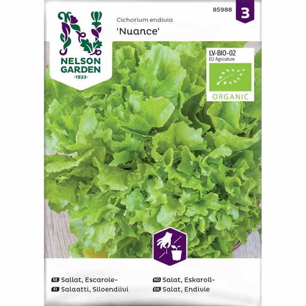 Escarole Lettuce 'Nuance' Organic