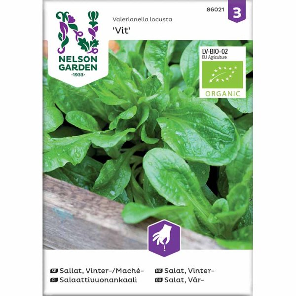 Machesalaatti valkoinen