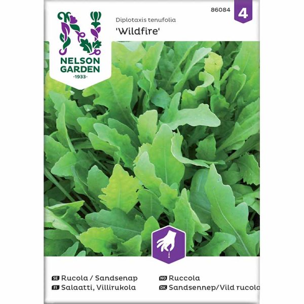 Rucola / Villirucola 'Wildfire'