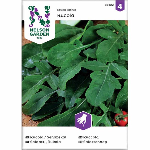 Rucola / Sinappikaali