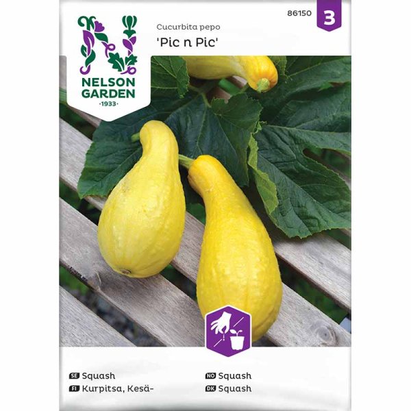 Kesäkurpitsa 'Pic n Pic'
