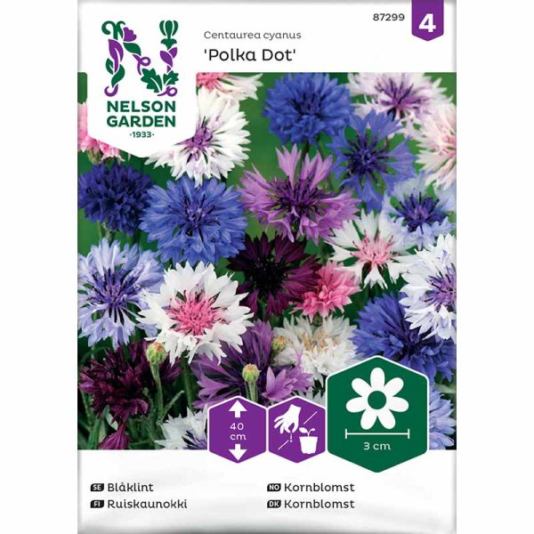 Ruiskaunokki 'Polka Dot'