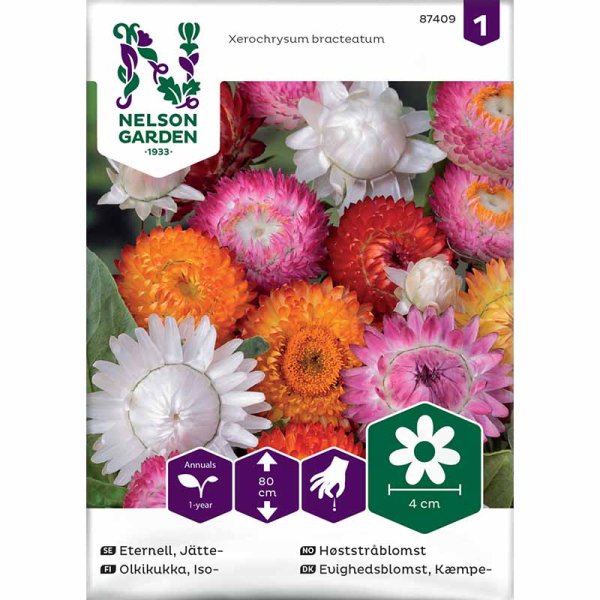 Ikuisuuskukka sekoitus