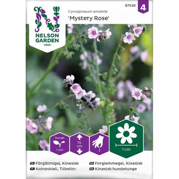 Kiinalainen lemmikki 'Mystery Rose'