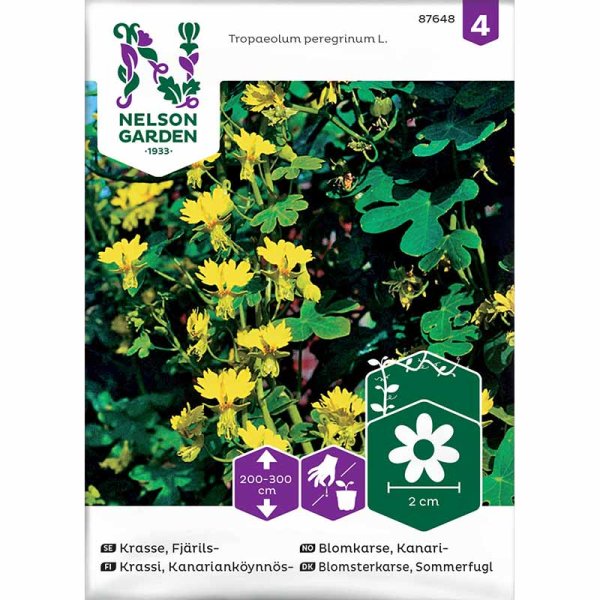 Perhoskrassi keltainen