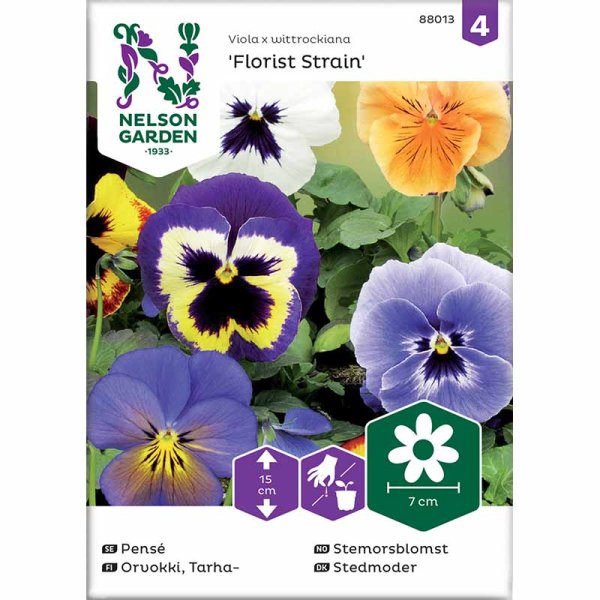 Orvokki 'Florist Strain' mix