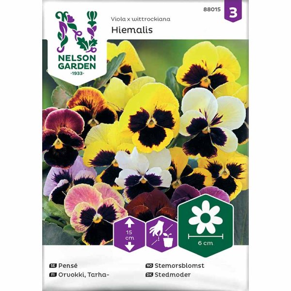 Orvokki 'Hiemalis' mix