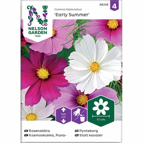 Kosmoskukka 'Early Summer' mix