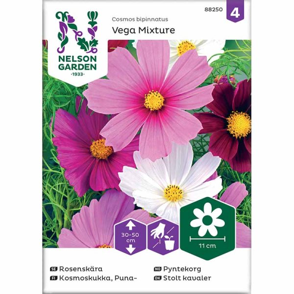 Kosmoskukka 'Vega Mixture'