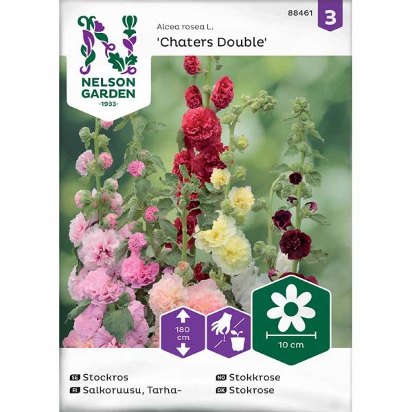 Salkoruusu 'Charters dubbel'