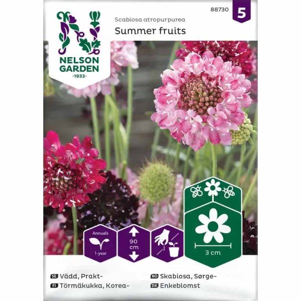 Kesäskabiosa 'Summer Fruits'
