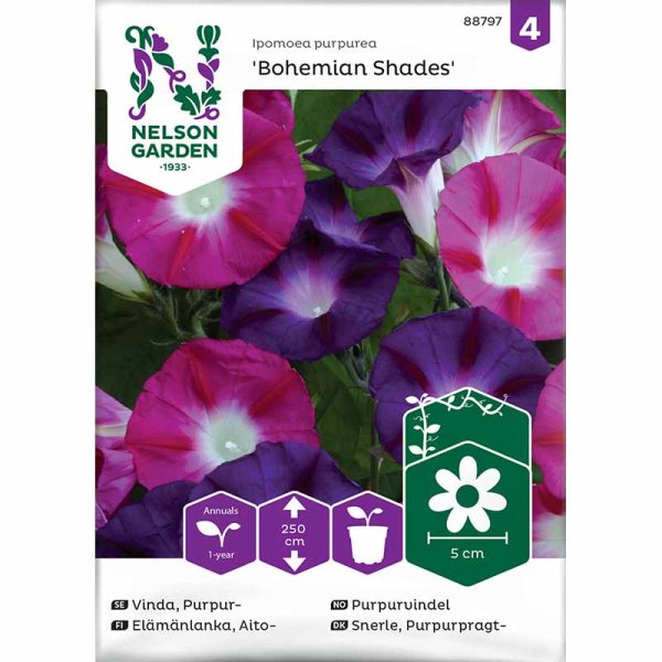 Aamukukka 'Bohemian Shades'