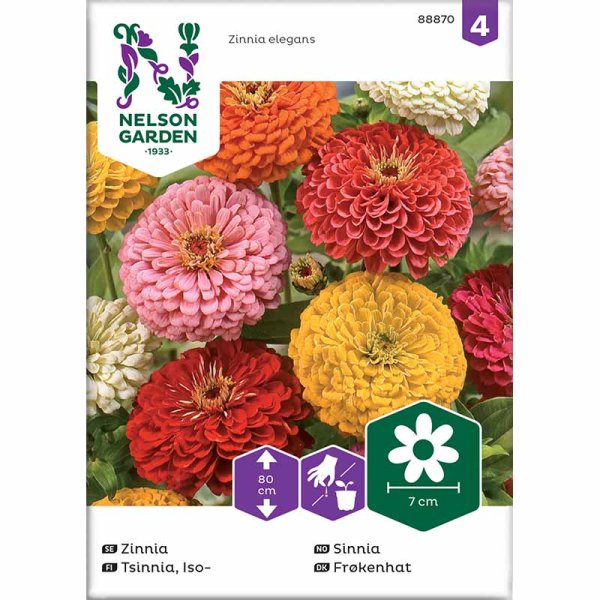 Korkea tsinnia sekoitusvärejä