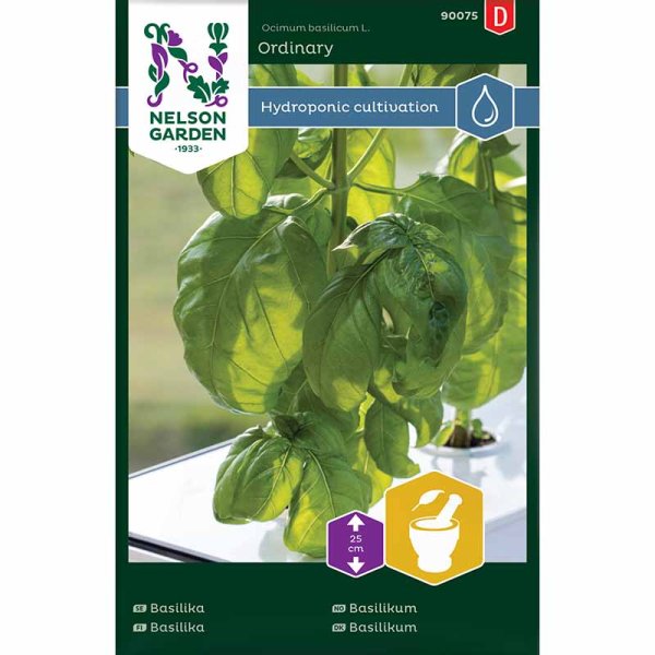 Basilika 'Ordinary' - Harvy