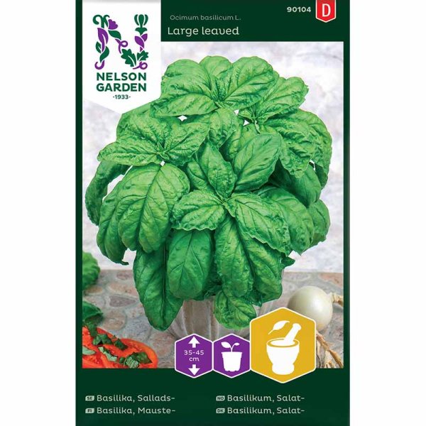 Salaattibasilika 'Large leaved'