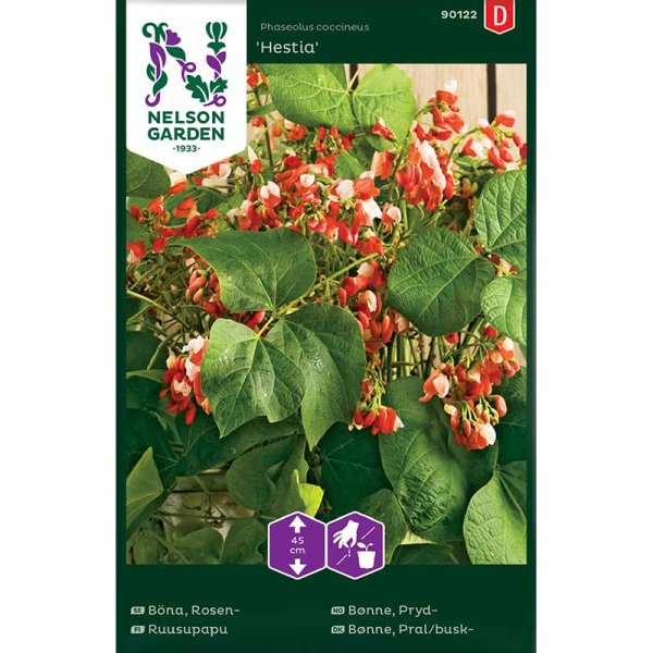 Koristepapu 'Hestia' / Koristepapu