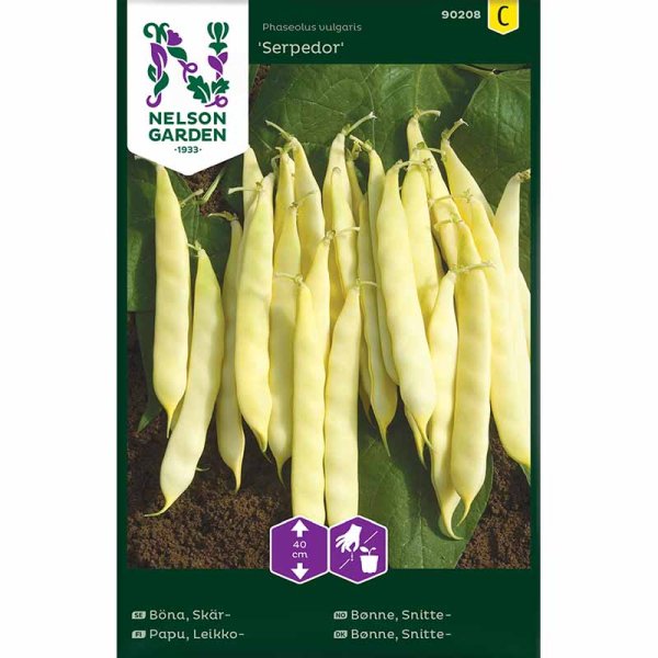 Leikkopapu 'Serpedor'