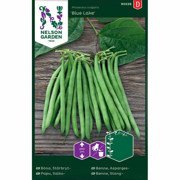 Salkopapu 'Blue Lake'