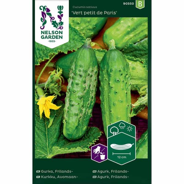 Pikkukurkku 'Vert petit de Paris'