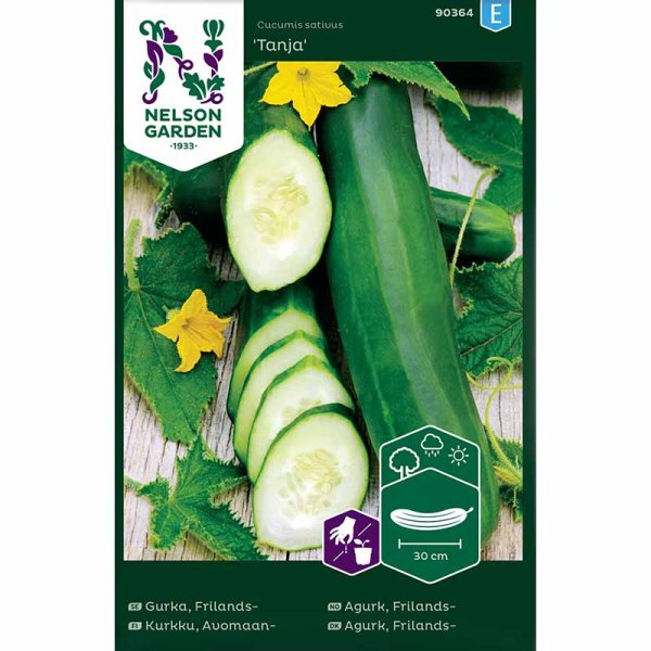 Salaattikurkku 'Tanja'