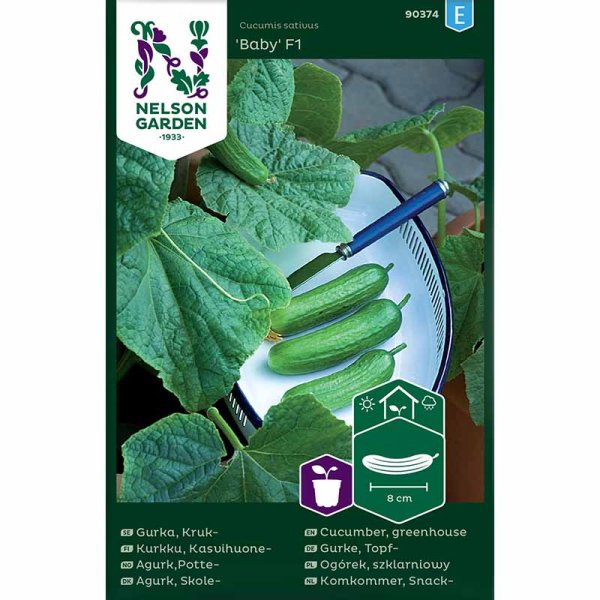 Ruukkukurkku 'Baby' F1