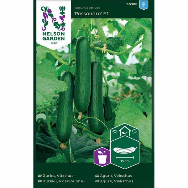 Kurkku 'Passandra'F1