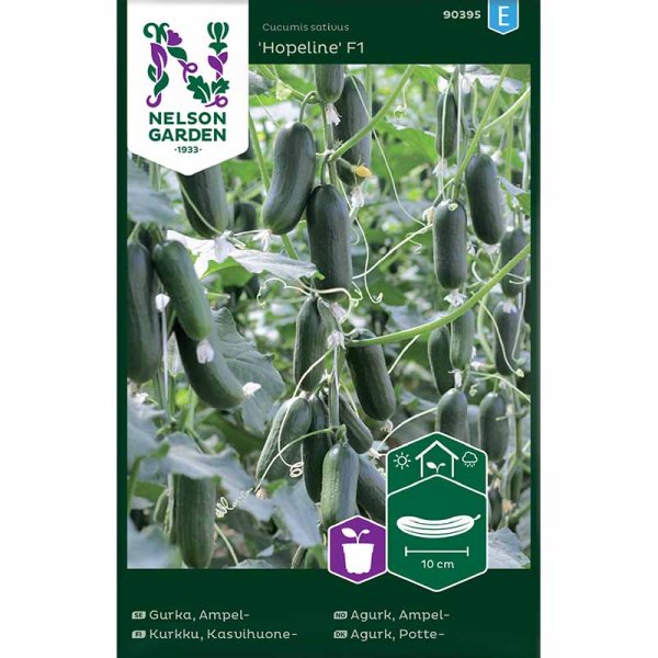 Kurkku 'Hopeline' F1