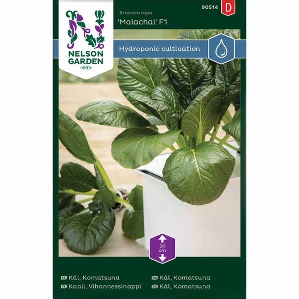 Komatsuna 'Malachai' F1 - Harvy